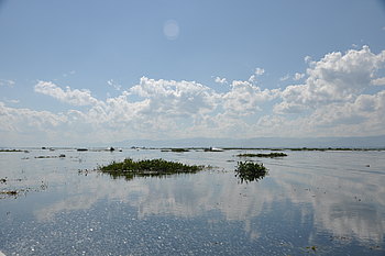 Schöner Blick über den See