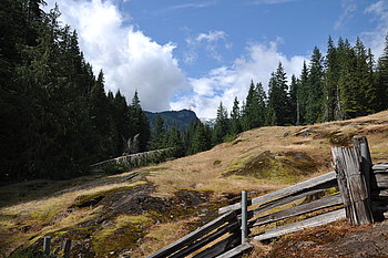 Mount Rainier Nationalpark